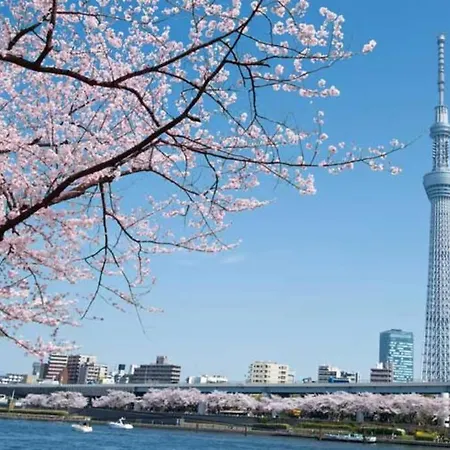 Tokyo'S Best Spot Shibuya! 3Person Room Free Wi-Fi エクステリア 写真