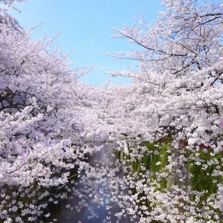 Tokyo'S Best Spot Shibuya! 3Person Room Free Wi-Fi エクステリア 写真