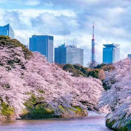 Tokyo'S Best Spot Shibuya! 3Person Room Free Wi-Fi エクステリア 写真