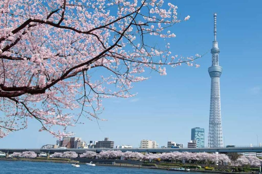 アパート Tokyo's Spot Shibuya! 3person Free Wi-fi 東京都