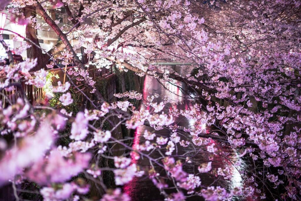 Tokyo's Spot Shibuya! 3person Free Wi-fi * 東京都
